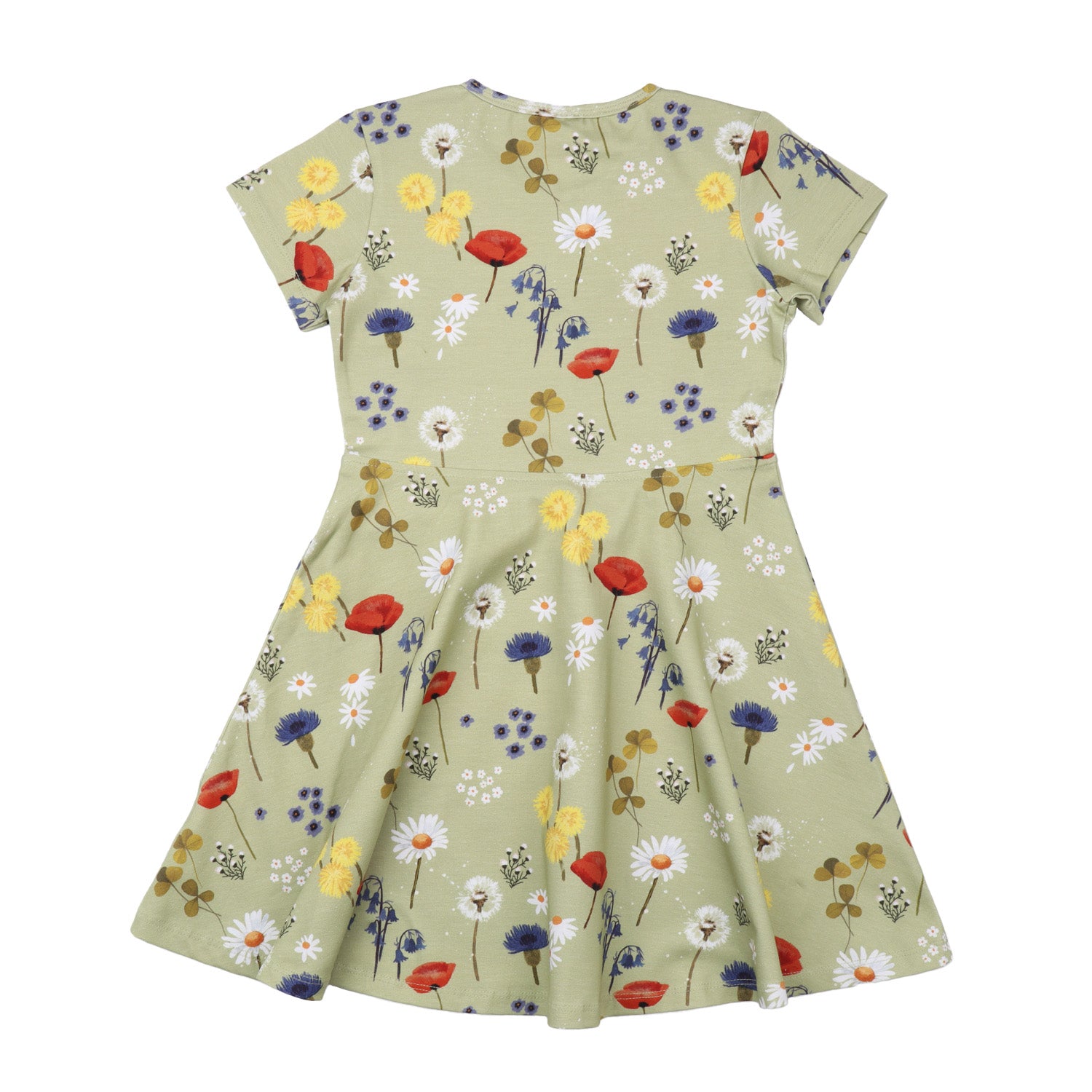 Wild Flowers - Skater Dress