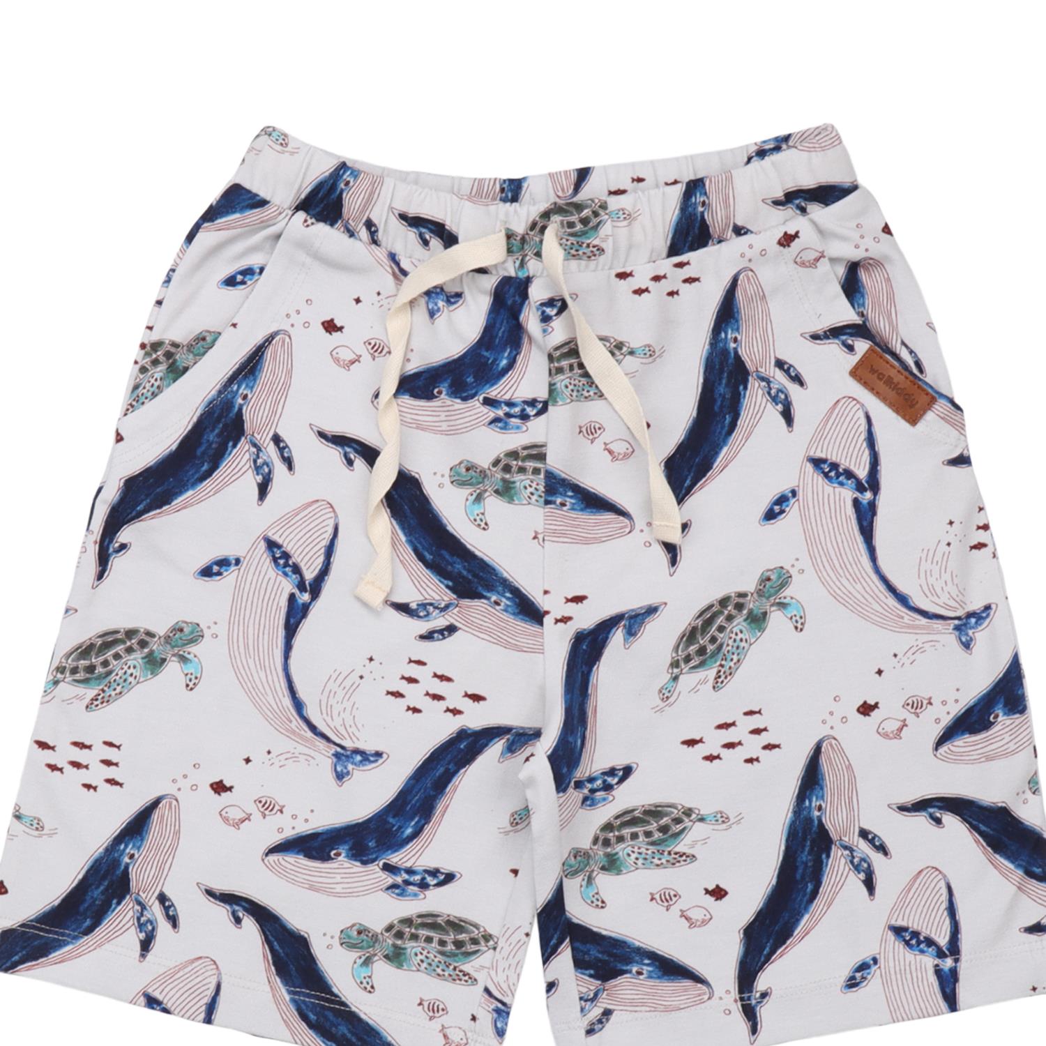 Whales & Sea Turtles - Shorts